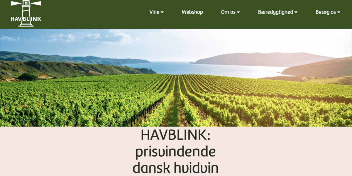 Havblink hvidvin – forside